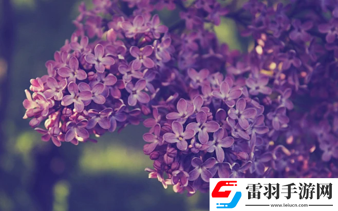 青椒影視2.6.5：無與倫比的觀影選擇——極致優(yōu)化與個性化推薦的完美結(jié)合！