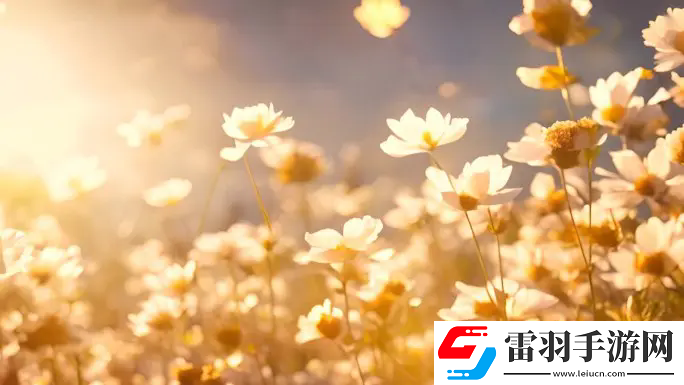 液體收集器系統(tǒng)HH的安裝指南：準(zhǔn)備到調(diào)試，一步步打造高效安全的生產(chǎn)環(huán)境！
