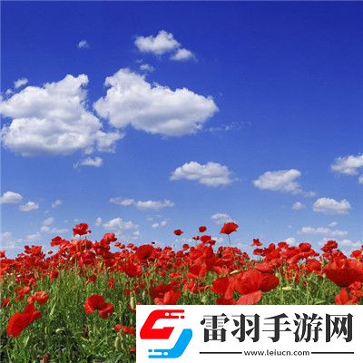 青椒影視2.6.5的全新功能：觀影體驗優(yōu)化，解鎖流暢高清觀影體驗的最佳選擇！