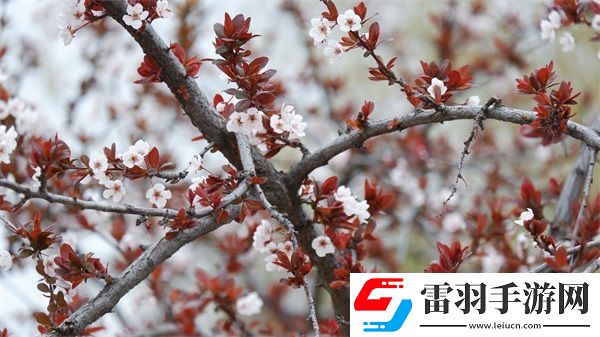 她開始慢迎迎合徐平雪周玉梅