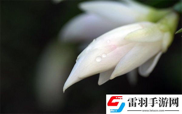 四叔一次又一次索取盛年豈