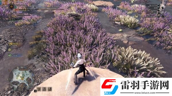 怪物獵人世界畫(huà)質(zhì)幀數(shù)提高設(shè)置