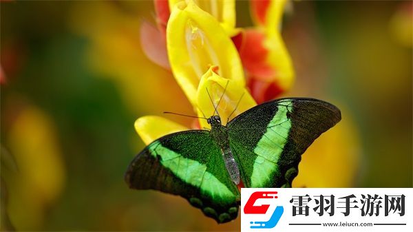 他強(qiáng)而有力的律動(dòng)讓我快樂(lè)英語(yǔ)