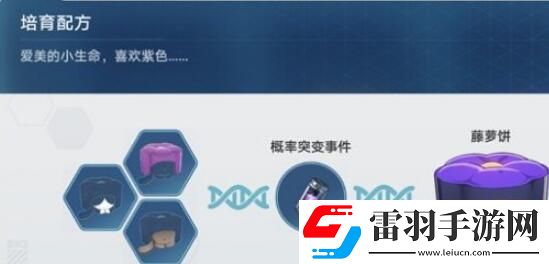 崩壞