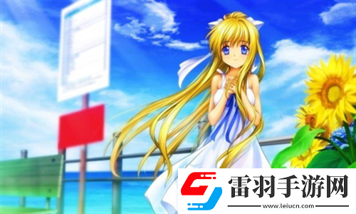 成色好的Y31