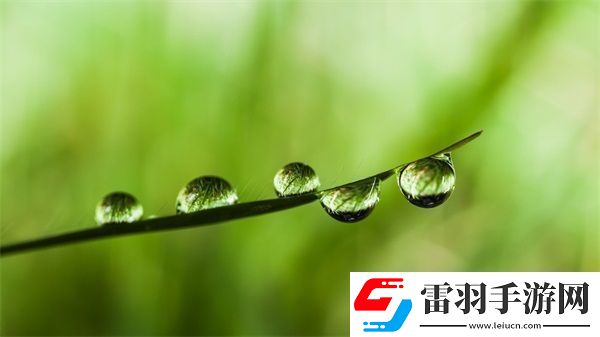 三葉草M碼和歐洲碼的對(duì)比