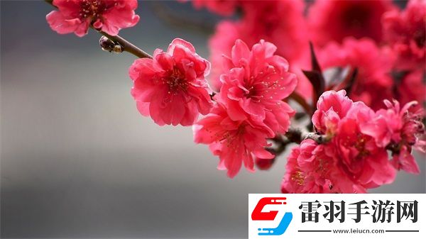 久產(chǎn)九人力資源有限公司豐沛有魚(yú)