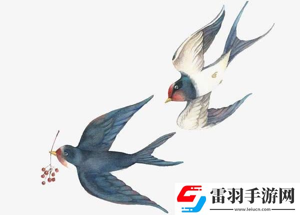 佩燕子是哪個地區(qū)人的習俗