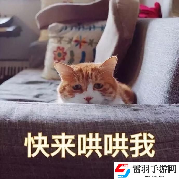 乖