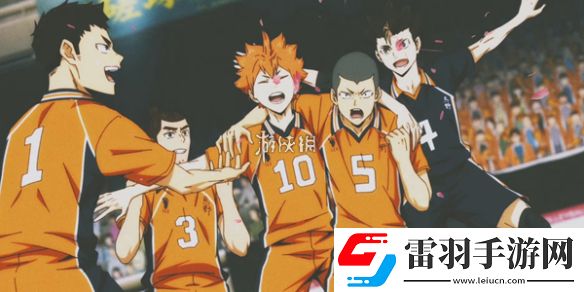 排球少年潛能套裝選哪個(gè)好