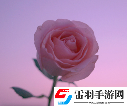 那些冷門而有韻味的簽名空山無(wú)人水流花開(kāi)