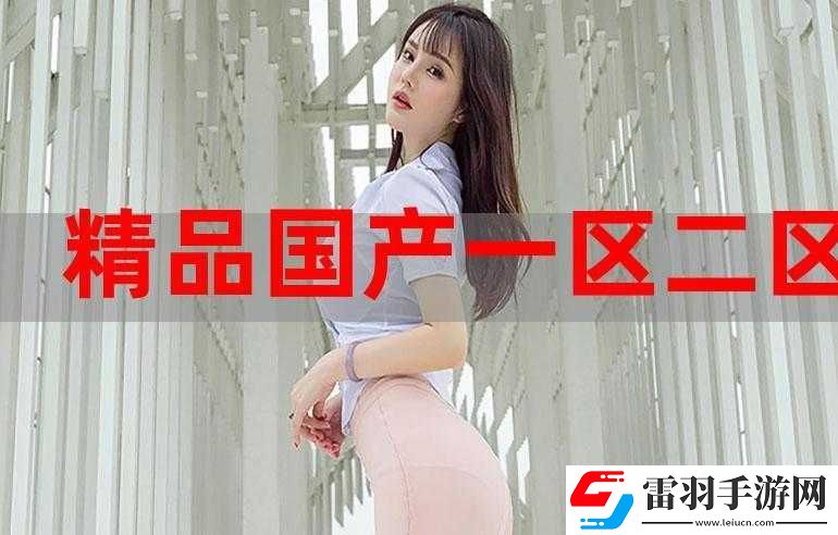 國精產(chǎn)品一二三區(qū)區(qū)別在哪背后的差異和奧秘