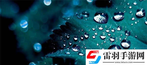 四葉草M碼和歐洲碼的888區(qū)別