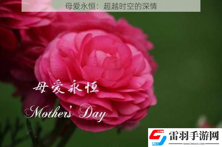 母愛永恒
