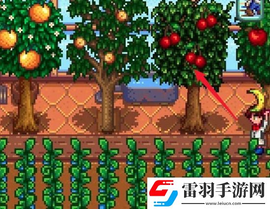 星露谷物語果醬怎么制作