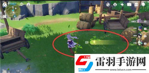 原神白蘿卜在哪獲得白蘿卜獲得位置介紹