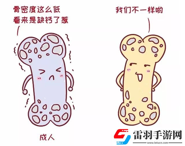 兒童骨密度偏低代表著缺鈣嗎