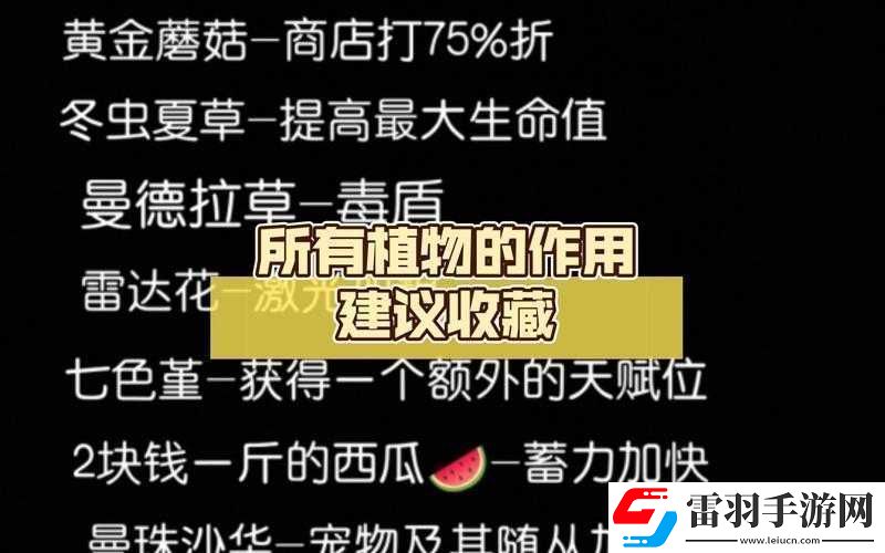 元?dú)怛T士冬蟲夏草的作用及具體用法全面詳細(xì)解析