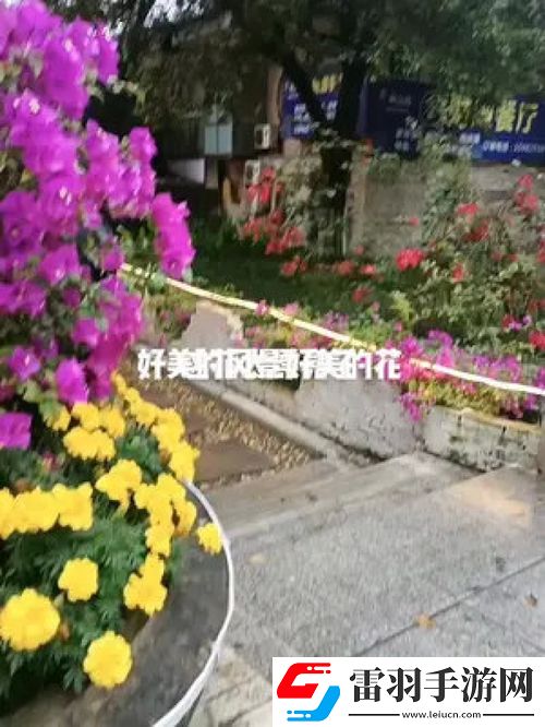 一花一世界一樹一菩提的深刻含義與解讀