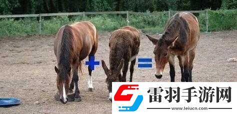 傻大壯長著驢一樣的東西是什么