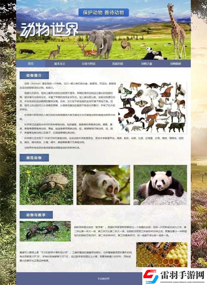成品站入口頁版怎樣打開之方法解析