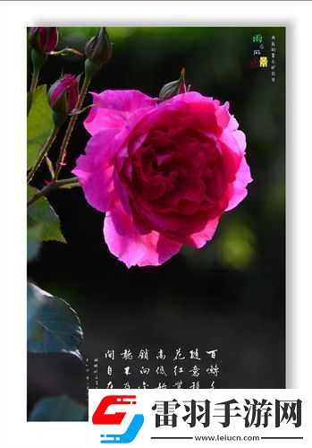 亭亭玉立