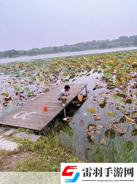 揭秘99無人區(qū)碼一碼二碼三1080p不再是夢