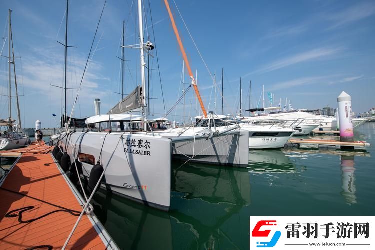 977國(guó)產(chǎn)連接線
