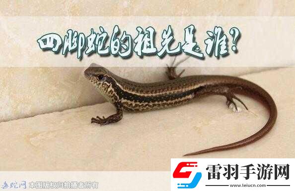 民間說(shuō)法稱清明蔗毒過(guò)蛇真正原因是