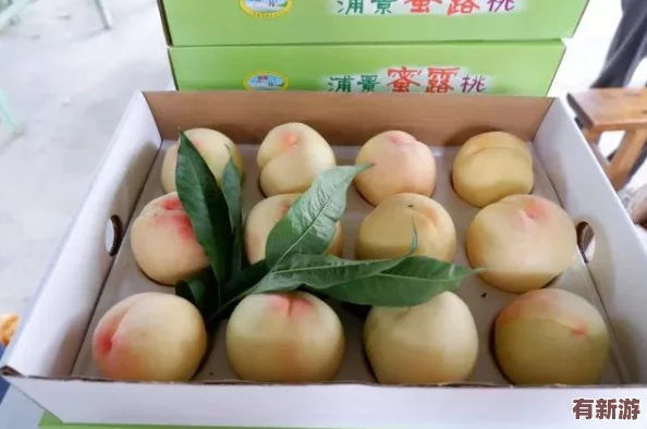 一區(qū)二區(qū)三區(qū)水蜜桃＂熱銷市場消費(fèi)者紛紛追捧其獨(dú)特口感與優(yōu)質(zhì)品質(zhì)成為夏季水果新寵