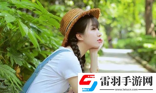 深入了解韓國(guó)理論大全