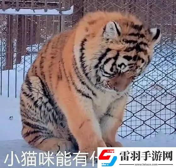 能有什么壞心眼呢是什么梗絡(luò)用語(yǔ)