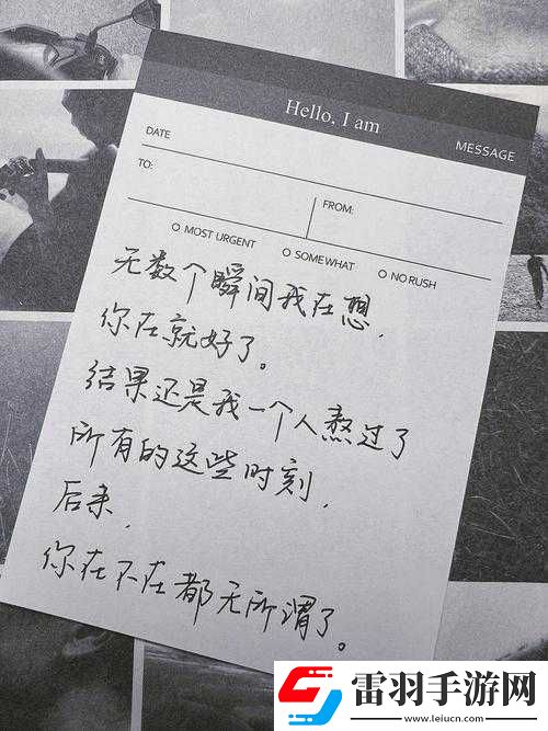 早就想在公司要你了