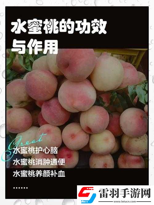 優(yōu)質(zhì)水蜜桃