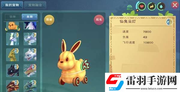 創(chuàng)造與魔法仙兔云燈坐騎怎么得