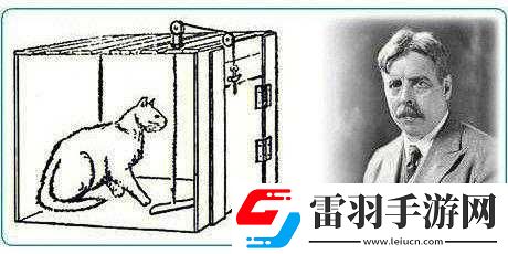 如何通過(guò)觀察貓貓它餓了達(dá)成通關(guān)