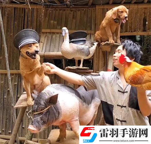 畜禽同人喧囂背后