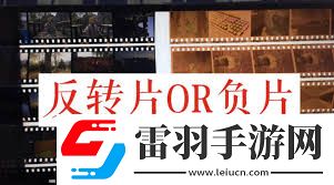 正片負片與反轉(zhuǎn)片的定義及區(qū)別