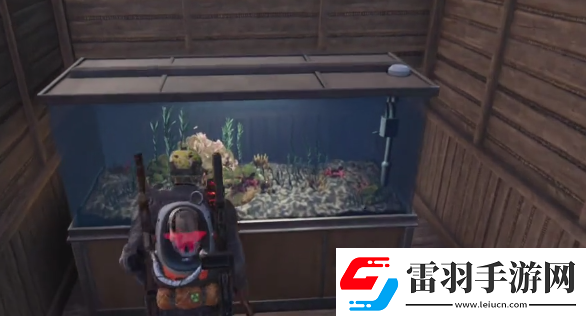 七日世界魚缸可以放多少魚