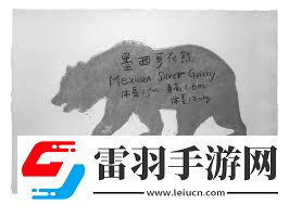 北極熊身上的神秘涂鴉