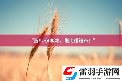 “選MySQL版本