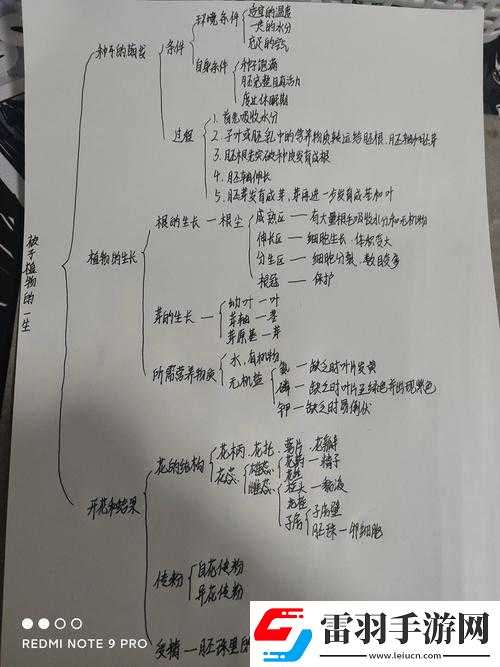 元氣偶像季手機中燈泡的出現(xiàn)究竟意味著什么
