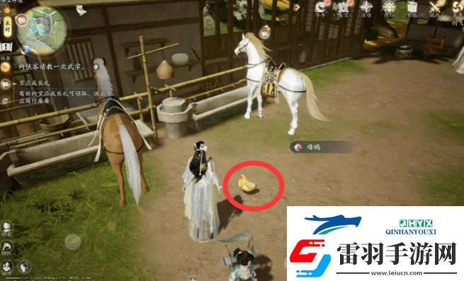 射雕小動(dòng)物在哪