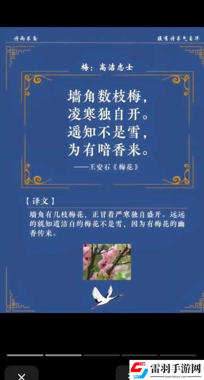 探索花中四君子——梅蘭竹菊所蘊含的詩意美感與深刻哲思