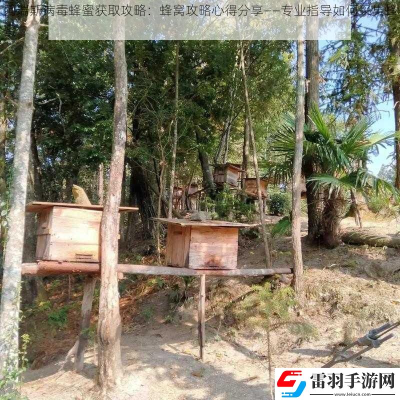 阿瑞斯病毒蜂蜜獲取攻略
