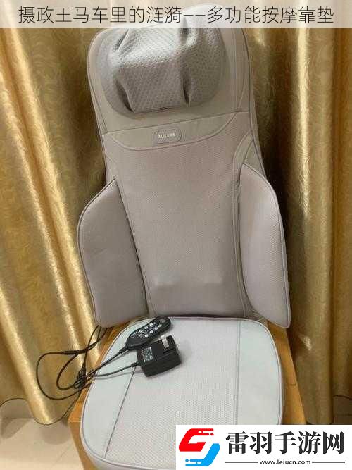 攝政王馬車?yán)锏臐i漪——多功能按摩靠墊