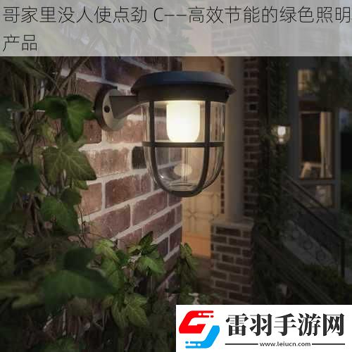哥家里沒(méi)人使點(diǎn)勁