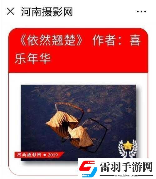 片多多