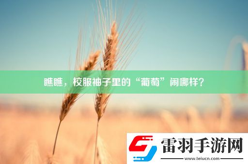 瞧瞧