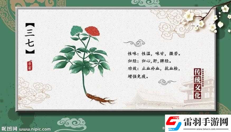 三七大但人文藝術(shù)免費